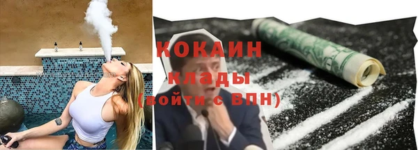 винт Алзамай