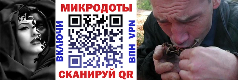 OMG ONION  Кимовск  Галлюциногенные грибы Psilocybe 
